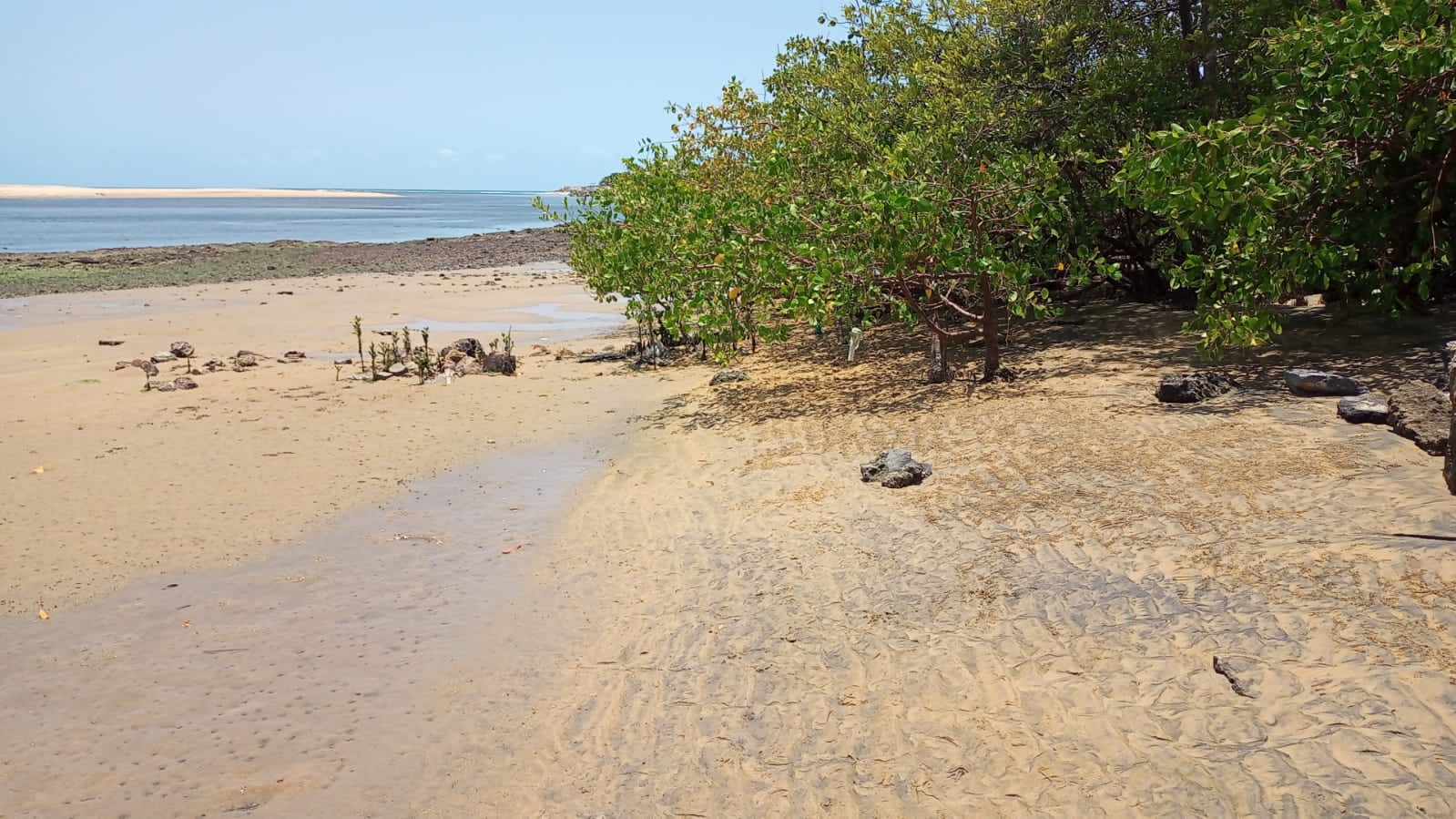Cerca de 150 Agentes Jovens Ambientais farão a limpeza da região. FOTO: Divulgação/SEMA