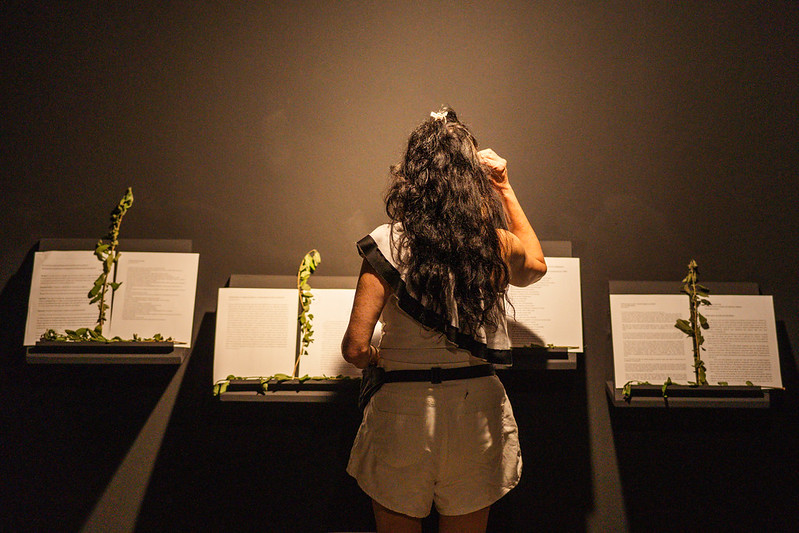 O evento será retomado pelo Sistema Estadual de Museus do Ceará. Foto: Ana Raquel.