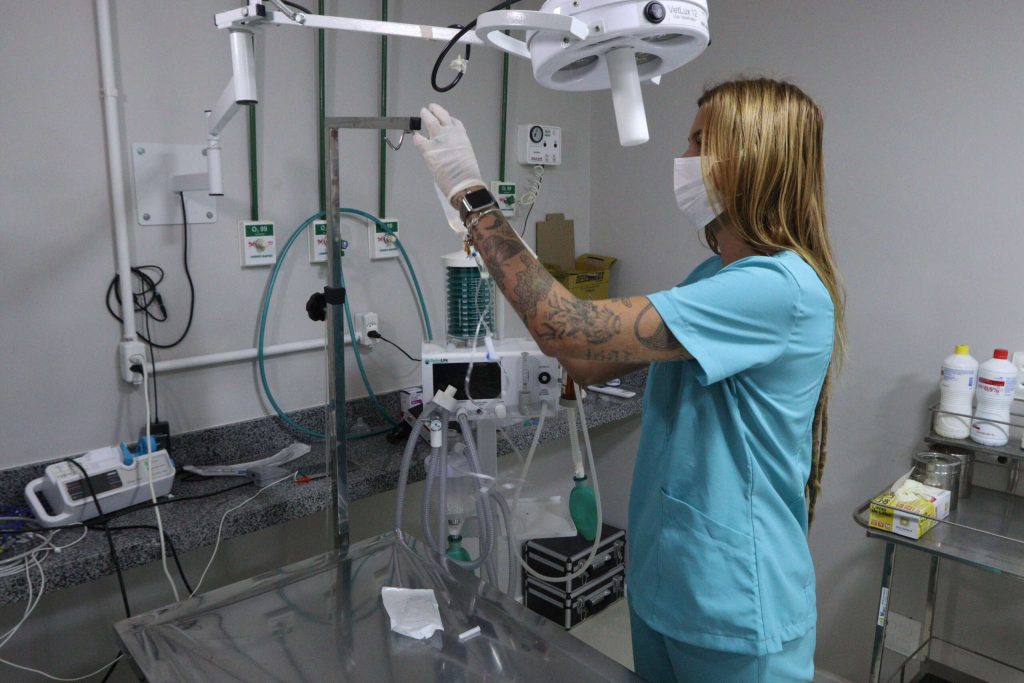 clinicas-veterinarias-realizam-atendimentos-gratuitos-para-caes-e-gatos-em-fortaleza-veja-lista